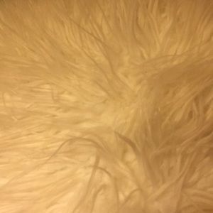 Meet your Posher, Savannah